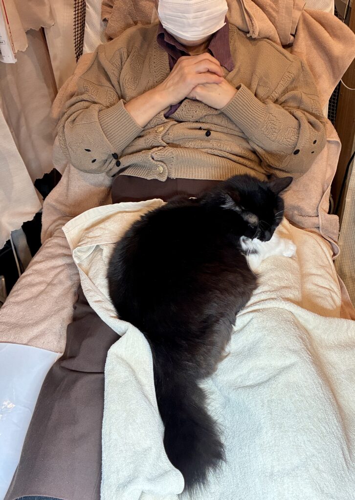 施術中、足の上に乗っている猫