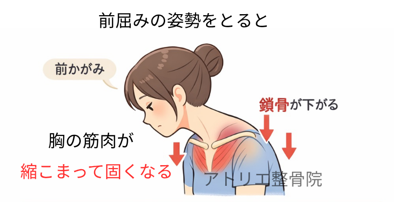 前屈みの姿勢を取ると胸の筋肉が固くなり肩がこるイラスト