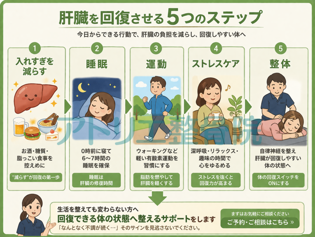 板橋の整体アトリエ整骨院の肝臓回復の5つのステップイラスト