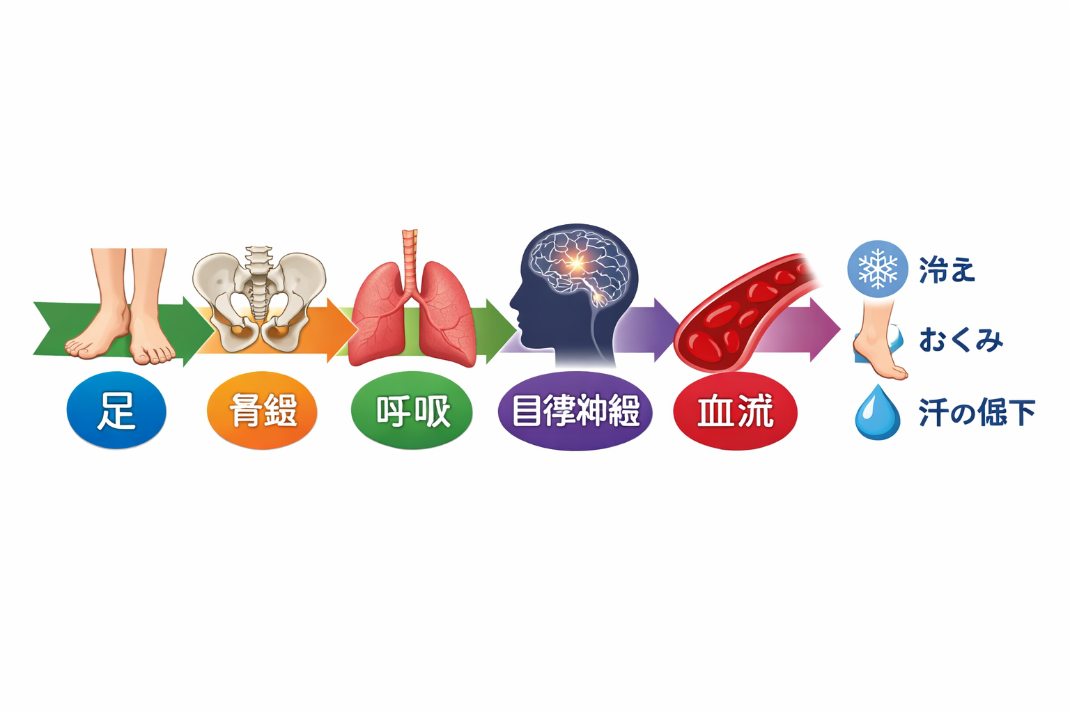 板橋の整体アトリエ整骨院の原因から結果への流れ図